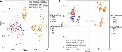 Crop Rotation and Straw Application Impact Microbial Communities in Italian and Philippine Soils and the Rhizosphere of Zea mays